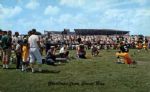 1960s Green Bay Packers 3.5" x 5.5" Picture Postcards - Lot of 7