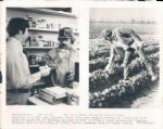 1971-76 Catfish Hunter Oakland Athletics New York Yankees John Rogers Photo Archives Original Photos - Lot of 19