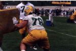 1970's-90's Green Bay Packers Sideline Snapshots Original Photos - Lot of 250+