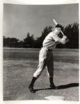 1920-40s depictions Babe Ruth New York Yankees Photo Display & Others Classic Baseball Photography Display - Lot of 4