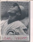 1950's-90's Massive Collector Dealer Lot Original Baseball Photos - Lot of 750 Plus