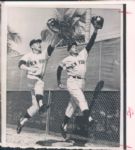 1950's-90's Massive Collector Dealer Lot Original Baseball Photos - Lot of 750 Plus