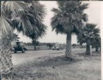 1950's-80's John Rogers Archives Original Americana Photos Politics Military Infrastructure - Lot of 1000 ($15,000-$18,000 Retail Value)