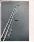 1950's-80's John Rogers Archives Original Americana Photos Arts Entertainment Leisure - Lot of 1000 ($15,000-$18,000 Value)