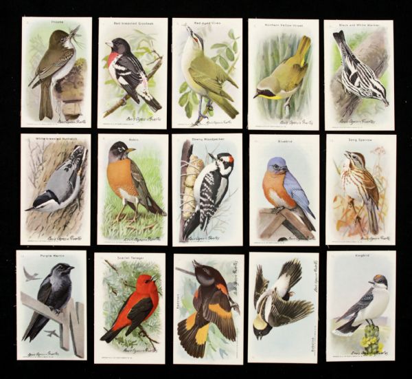 Useful Birds of American Arm & Hammer Ninth Series - Lot of 15