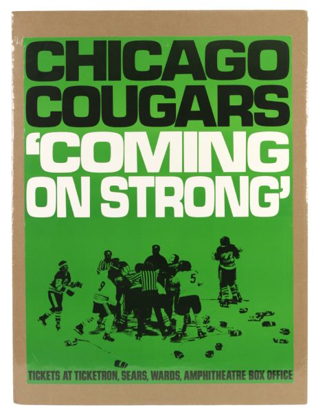 1972-75 Near Mint Rare Chicago Cougars 21 1/2" x 28 1/2" Hockey WHA Poster 