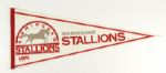 1982-85 USFL Full Size Pennant (Lot of 4)