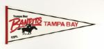 1982-85 USFL Full Size Pennant (Lot of 4)