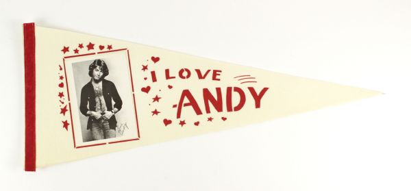 1970s Andy Gibb 29 1/2" Full Size Photo Pennant 