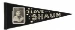 1970s I Love Shaun Cassidy 29" Full Size Photo Pennant 