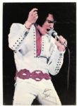 1960s Elvis Presley 20" x 29" Poster On Thick Cardboard Posterboard 