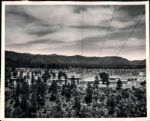 1940's-80's Landscapes The Great Outdoors John Rogers Collection Archives Original Photos (MEARS LOA) - Lot of 60