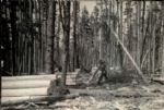 1940's-80's Landscapes The Great Outdoors John Rogers Collection Archives Original Photos (MEARS LOA) - Lot of 60