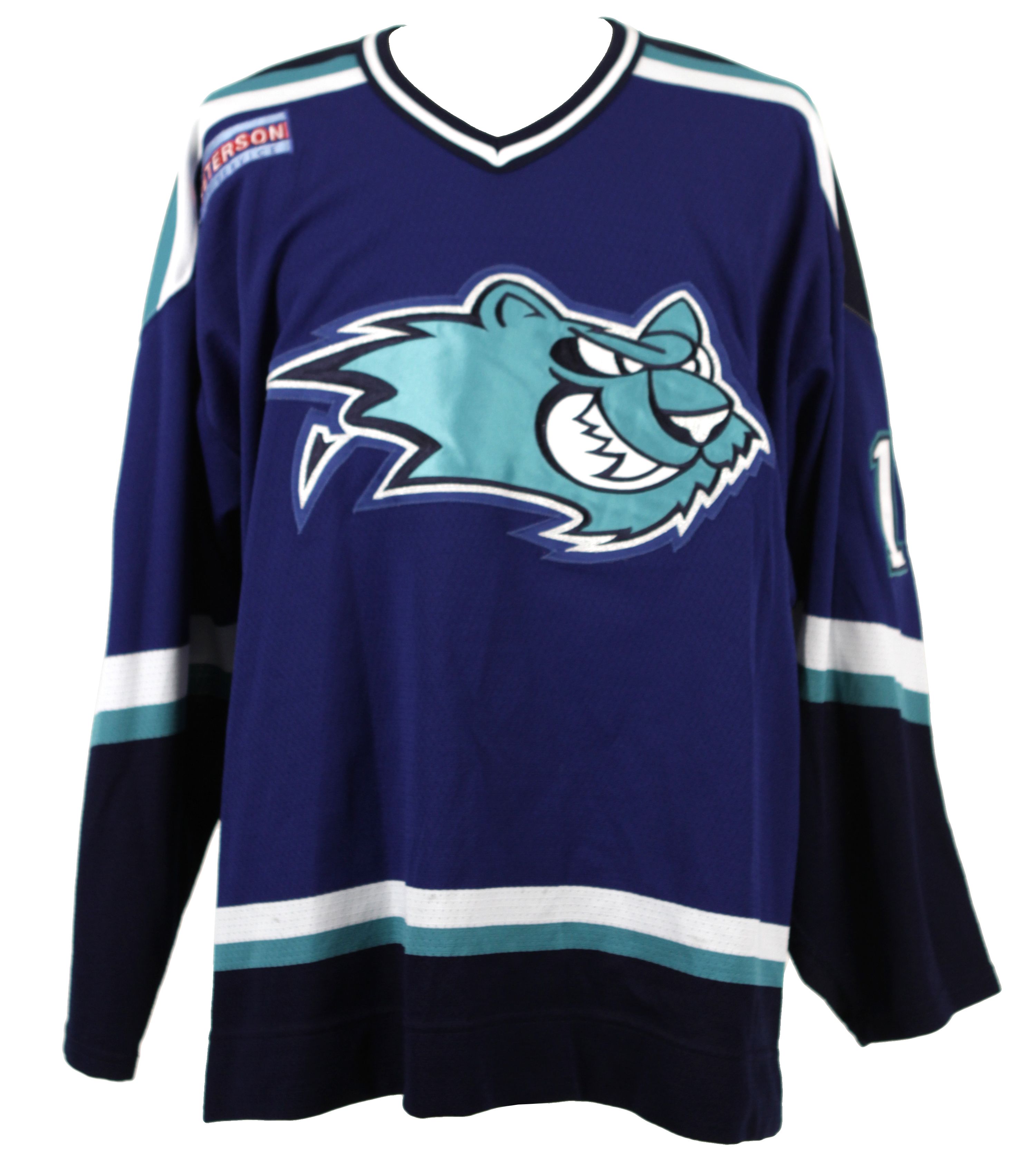 Worcester Ice Cats Blue Hockey Jersey