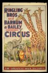 1940s Ringling Bros. Barnum & Bailey 27" x 41" 1-Sheet Poster Giraffes & Natives 