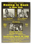 2002 Oscar De La Hoya vs. Fernando Vargas 24 x 36 Fight Poster Plus De La Hoya/Moseley II & NYC Armory Boxing Posters 