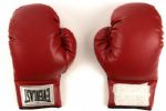 1986-2005  Mike Tyson Photo Shoot Everlast Boxing Signed Gloves Sourced From Ex Tyson Staffer (MEARS LOA & JSA)