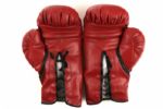 1986-2005  Mike Tyson Photo Shoot Everlast Boxing Signed Gloves Sourced From Ex Tyson Staffer (MEARS LOA & JSA)