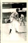 1950s Sporting News Postcard - Hoard of 231