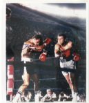 1973 Ken Norton Heavyweight Champion Signed 12" x 14" Photo (JSA)