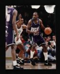 1990's Glenn Robinson Mo Vaughn Gene Conley Eric Montross Ed Pinckney Signed 8 x 10 Photos - Lot of 9 (MEARS LOA)