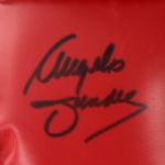 1990's Angelo Dundee Boxing Trainer Signed Everlast Boxing Gloves - Lot of 2 (JSA)