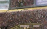 2007 Robert Brooks Green Bay Packers Hall of Fame Signed 29 x 37 Framed Print 25/25 (Legends of the Field COA)