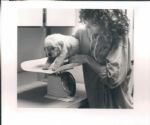 1950's-80's Comprehensive Newspaper Archive Photo Collection - Lot of 1500+