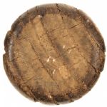 1923-28 Frank Wilson Braves/Indians/Browns H&B Louisville Slugger Professional Model Game Used Bat (MEARS LOA)