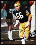 1990s Ray Nitschke Green Bay Packers Signed 8" x 10" Photo (JSA) 