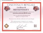 2009 Tank Johnson Cincinnati Bengals Game Worn Lineman Gloves (MEARS LOA/Team LOA)