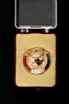 1987 Billy Williams Catfish Hunter Ray Dandridge Hall of Fame Induction Button