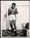 1900's-90's Boxing Original Photography Collection - Lot of 650+ 