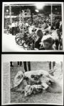 1962-69 Baseball Golf Tennis Sailing Auto Racing Horse Racing Track & Field Photography Collection - Lot of 300+