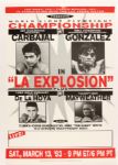 1993 Michael Carbajal vs. Humberto Gonzalez Light Flyweight Title Bout 19" x 27" Posters - Lot of 12