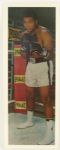 1973 Muhammad Ali 12" x 36" Matted Everlast Poster