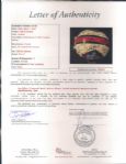 1990's-2000's NFL Hall of Fame Multi Signed Full Size Helmet w/ 31 Signatures Including Gale Sayers, John Elway & More (JSA Full Letter)