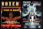 1995-2005 Dariusz Tiger Michalczewski World Cruiser & Light Heavyweight Champion German Language Fight Program Collection - Lot of 6