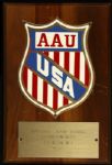 1970 AAU National Boxing Championships 6" x 9" Plaque