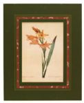 1829-1992 Horse Racing Flower Art - (Lot of 11)