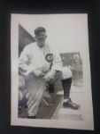 1929 Chicago Cubs Photo Collection w/ Album (Lot of 29)