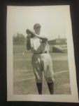 1929 Chicago Cubs Photo Collection w/ Album (Lot of 29)