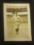 1929 Chicago Cubs Photo Collection w/ Album (Lot of 29)