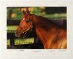 1980's Secretariat Jockey Ron Turcotte & Breeder Penny Chenery Signed 16 x 20 Photo (PSA/DNA) & Print - Lot of 2 