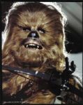 1980s Peter Mayhew Chewbacca Star Wars Signed 8" x 10" Photo (JSA)