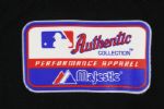 2010-14 Dayan Viciedo Chicago White Sox Signed Batting Practice Jersey (JSA)