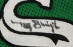 1995-97 Terry Bevington Chicago White Sox Signed St. Patrick's Day Batting Practice Jersey (MEARS LOA/JSA)