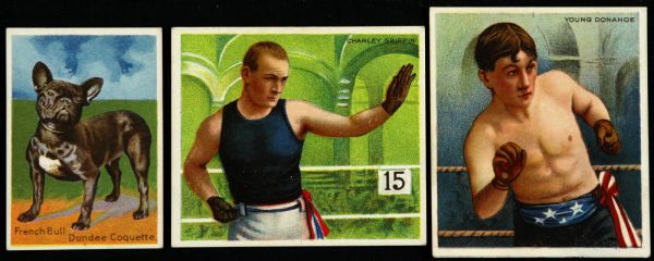 1910 Boxing Prize Dog Trading Cards Mecca Oxford Cigarettes (Lot of 3)