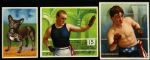 1910 Boxing Prize Dog Trading Cards Mecca Oxford Cigarettes (Lot of 3)