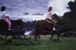 1980-present Photography / Negative Collection of Jeffrey Blackman (70,000+ images w/ rights)